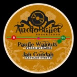 Audio Bullet 001 out now!