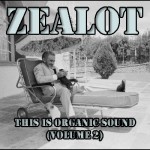 Zealot - Organicsound - This Is Organic Sound 2 - Mix
