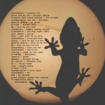 unsoundbwoy // lizardstyle - july 2008
