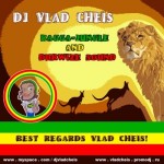 Sun Dance & Reggae Motive Ragga-Jungle mix by Dj.Vlad Cheis