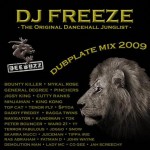 Dj Freeze - On A Ragga Tip Vol.5 - Dubplate Mix 2009