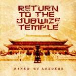 Amadeus - Return To The Dubwize Temple