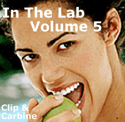 In-The-Lab-5-Cover