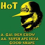 Digital Release: HoT - HoT Sound Records 01