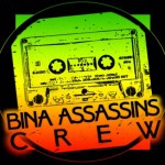 about Bina Assassins