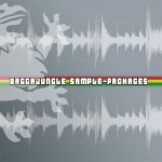 Raggajungle Samples - Resource