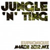 Euphonique - Jungle 'n' Ting