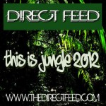 Direct Feed - This Is Jungle 2012