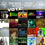 Vote: Top 2012 Mixes on Raggajungle.biz